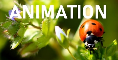 ANIMATION BACTERIOSOL SAMEDI 30 MARS